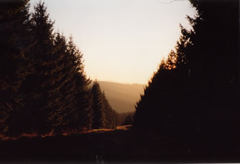 Blick in das Giesmecketal