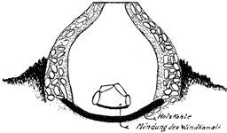 Eisenschmelzoefen im Loermecketal